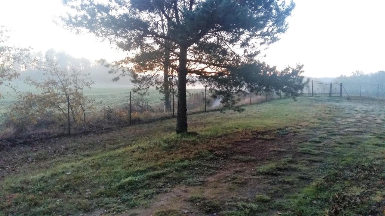 Willa Kraniec Swiata - Tylko Dla Ciebie - Zachwyca Krajobrazem, Regeneruje Cisza I Komfortem Boleslawiec  Kültér fotó